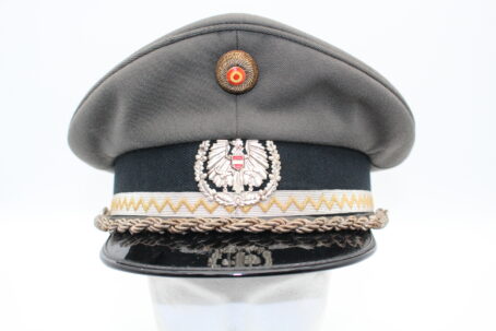 Vizeleutnant, Versorgertruppe, (Rock, Hose, Schirmmütze und Staubmantel) – Bild 14