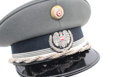 Offiziersstellvertreter, Versorgungstruppe (Rock, Hose und Schirmmütze) – Bild 16