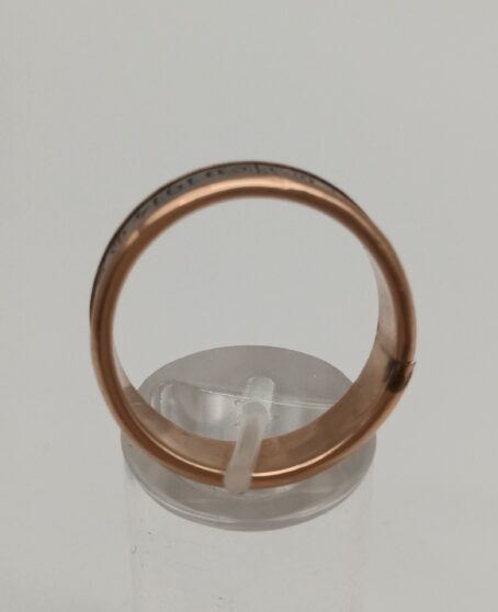 KuK patriotischer Ring, Wien, 1914/15 – Bild 4