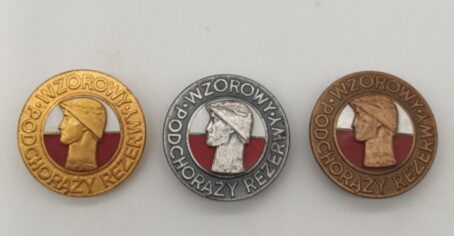Polen Serie vorbildlicher Offiziersanwärter Bronze Silber Gold, ab 1982