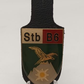 Stabsregiment 6