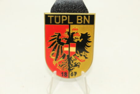 ÖBH Truppenkörperabzeichen Burgenland Tüpl BN 1867 B11c