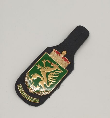Jägerbataillon 5 – Bild 2