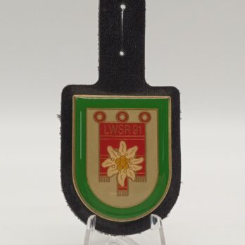 Landwehrstammregiment 91