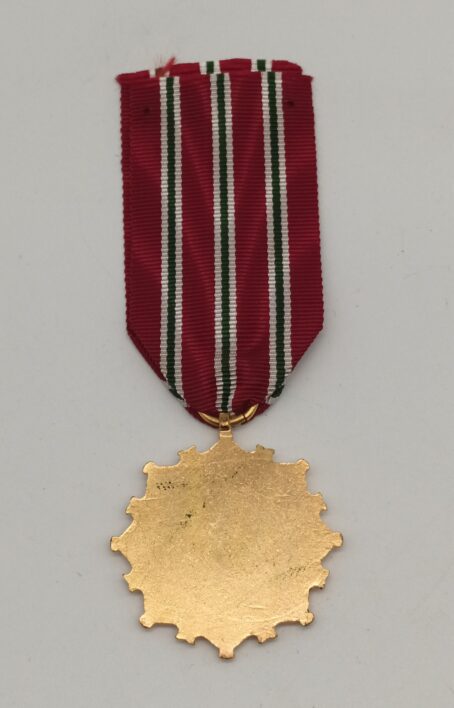 Syrien - Gedenksmedaille für die Machtergreifung der Syrischen Baath-Partei 08.03.1963 – Bild 4